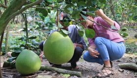 Begin your visa-prepared day with Vietnam’s tranquil ambiance